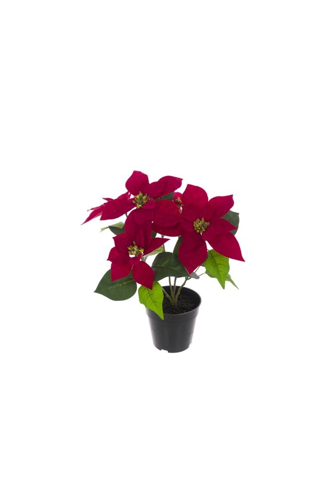 The Artificial Plants Shop Artificial Potted Poinsettia Red