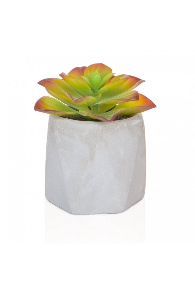The Artificial Plants Shop Artificial Potted Succulent 11cm Red/Green