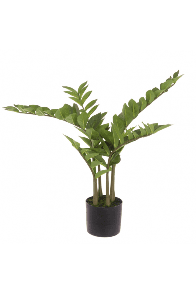 The Artificial Plants Shop Artificial Potted Zamiifolia Tree