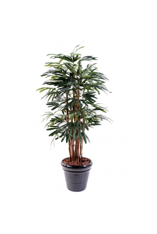 The Artificial Plants Shop Artificial Raphis Palm Tree