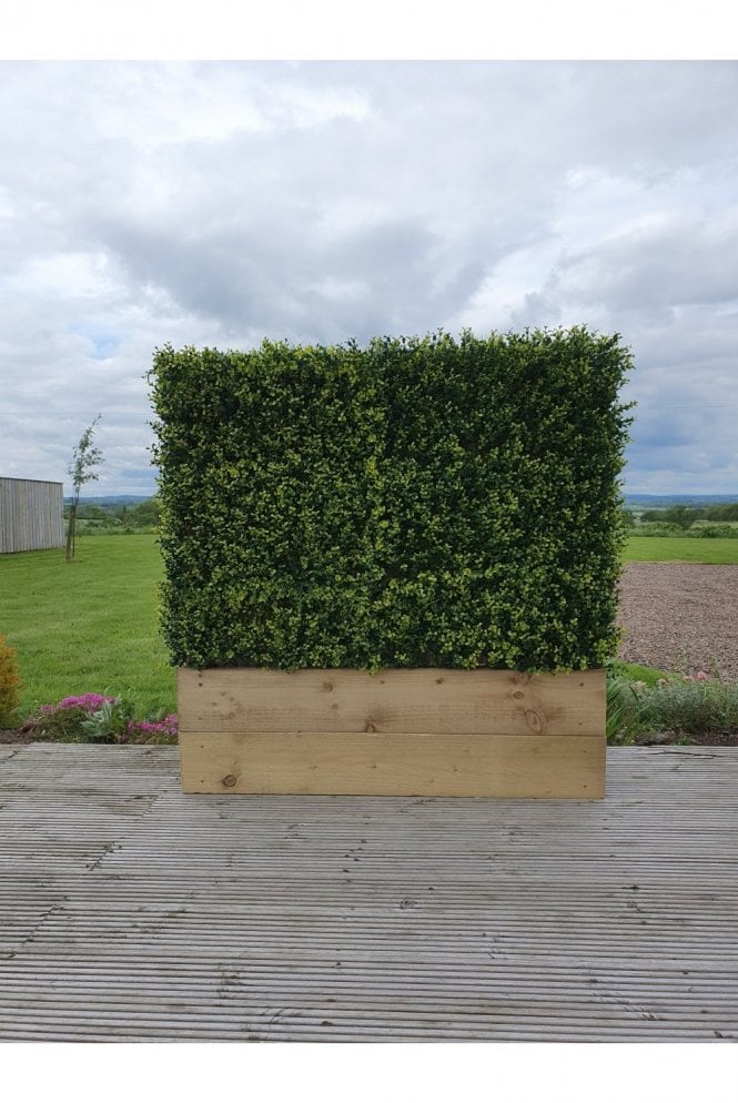 The Artificial Plants Shop Artificial Ready Made Boxwood Hedge in Timber Trough