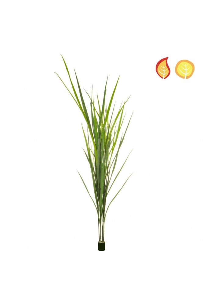 The Artificial Plants Shop Artificial Reed Grass 180cm Flame Retardant UV