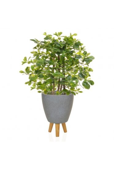 Artificial Schefflera Arrangement in Footed Planter 100cm