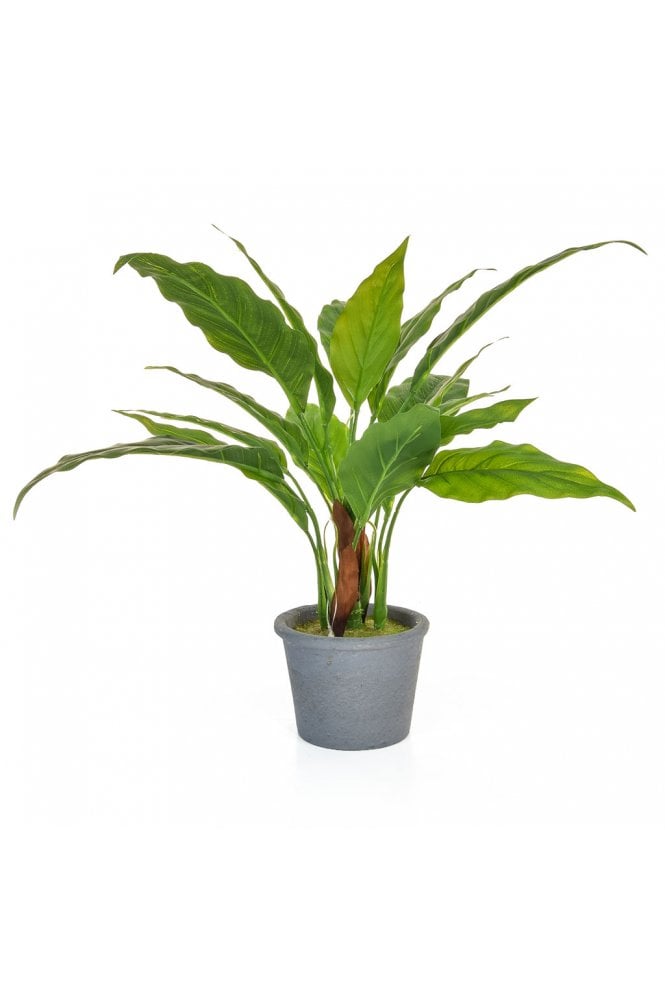 The Artificial Plants Shop Artificial Spathiphyllum