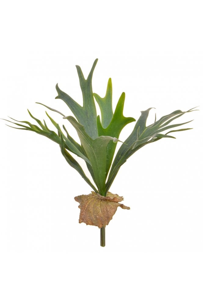 The Artificial Plants Shop Artificial Staghorn Fern 41cm with Foliage