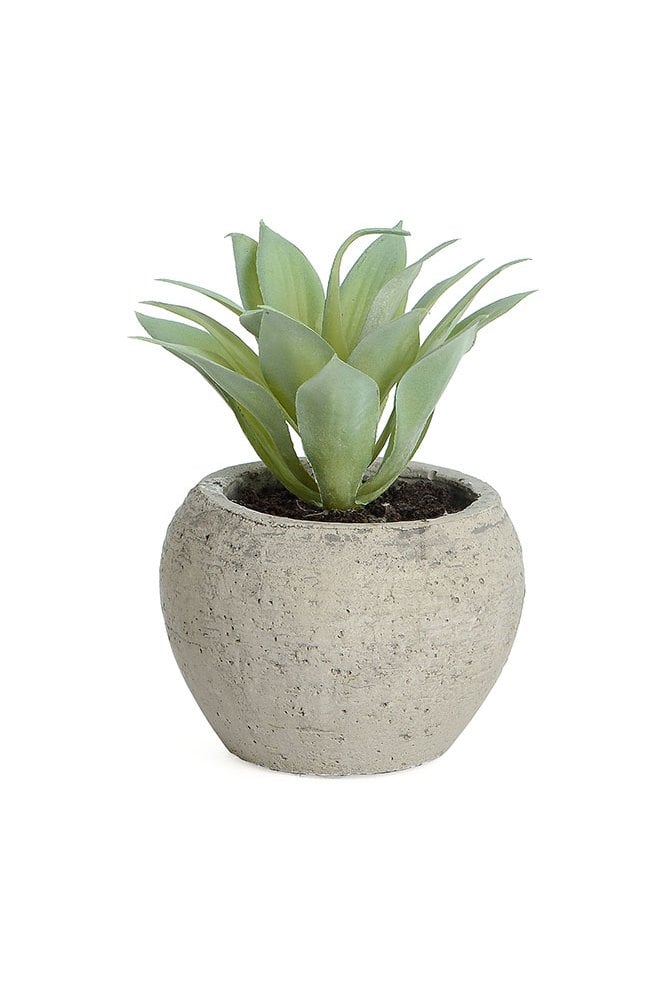 The Artificial Plants Shop Artificial Succulent Arrangement A