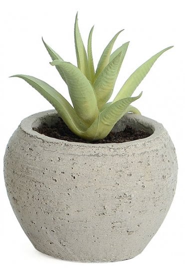Artificial Succulent Arrangement B