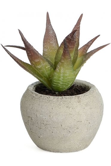 Artificial Succulent Arrangement C