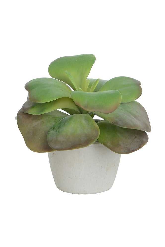 The Artificial Plants Shop Artificial Succulent Arrangement E