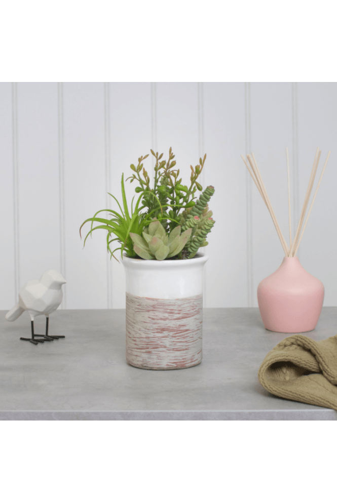 The Artificial Plants Shop Artificial Succulent Arrangement in Aged pot
