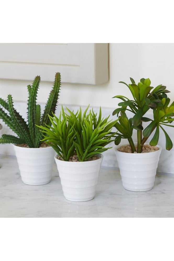 The Artificial Plants Shop Artificial Succulent Arrangement- Set of 3