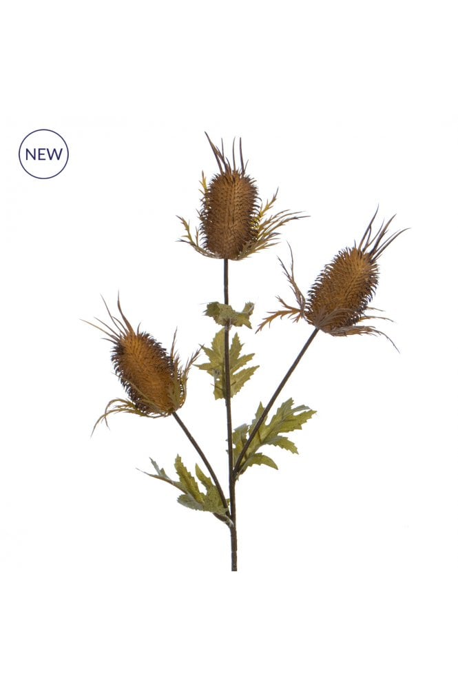 The Artificial Plants Shop Artificial Thistle Stem - Light Brown