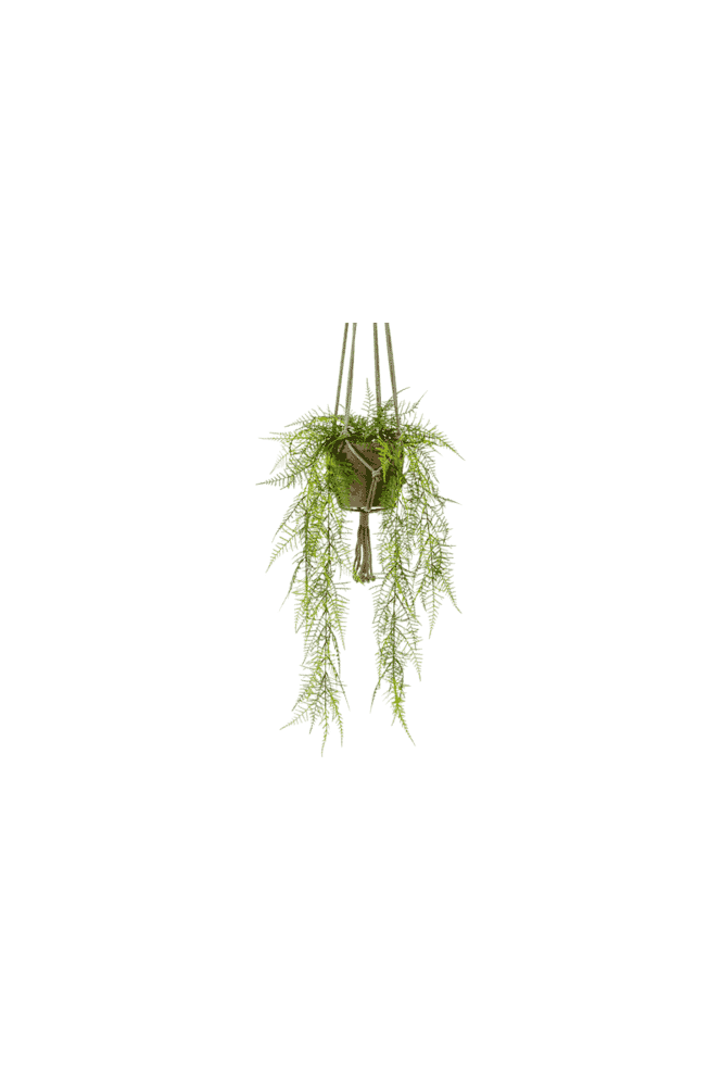 The Artificial Plants Shop Artificial Trailing Asparagus