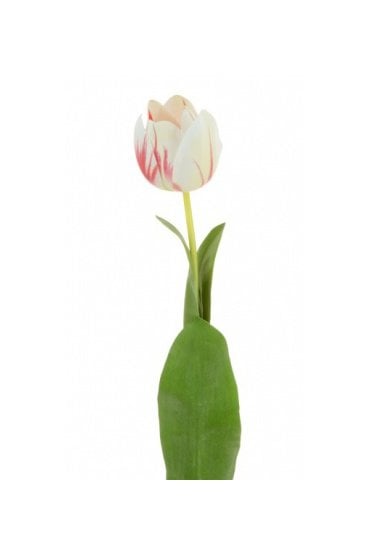 Artificial Tulip White with Red  - Pack of 3