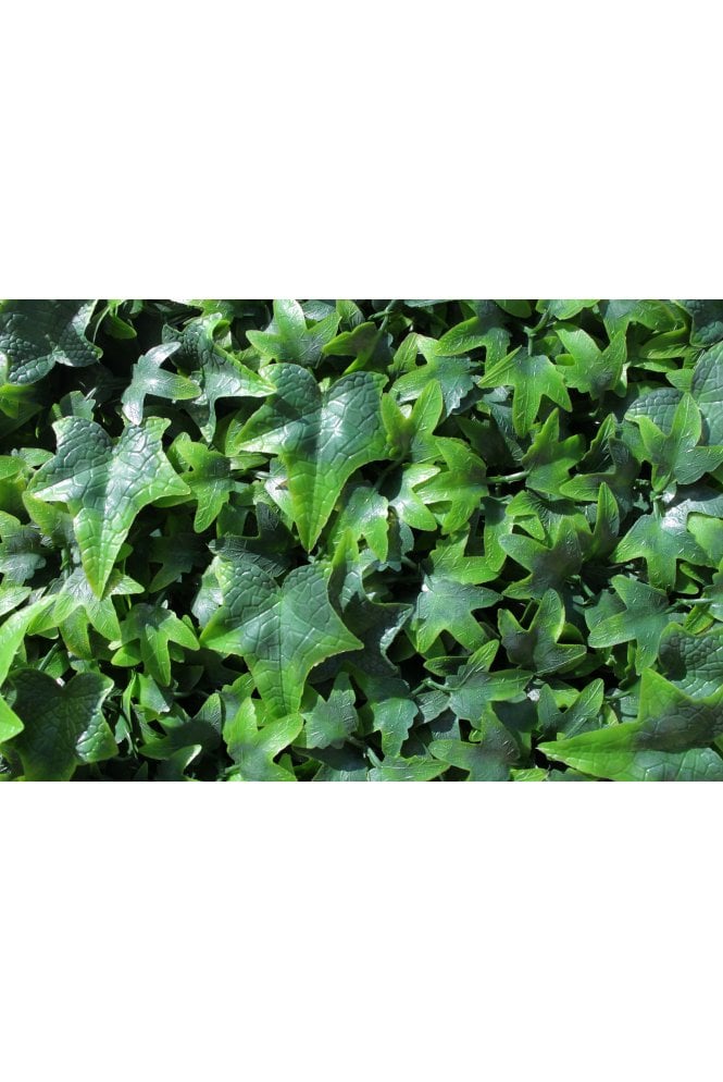 The Artificial Plants Shop Artificial UV Living Wall Panel Green Ivy