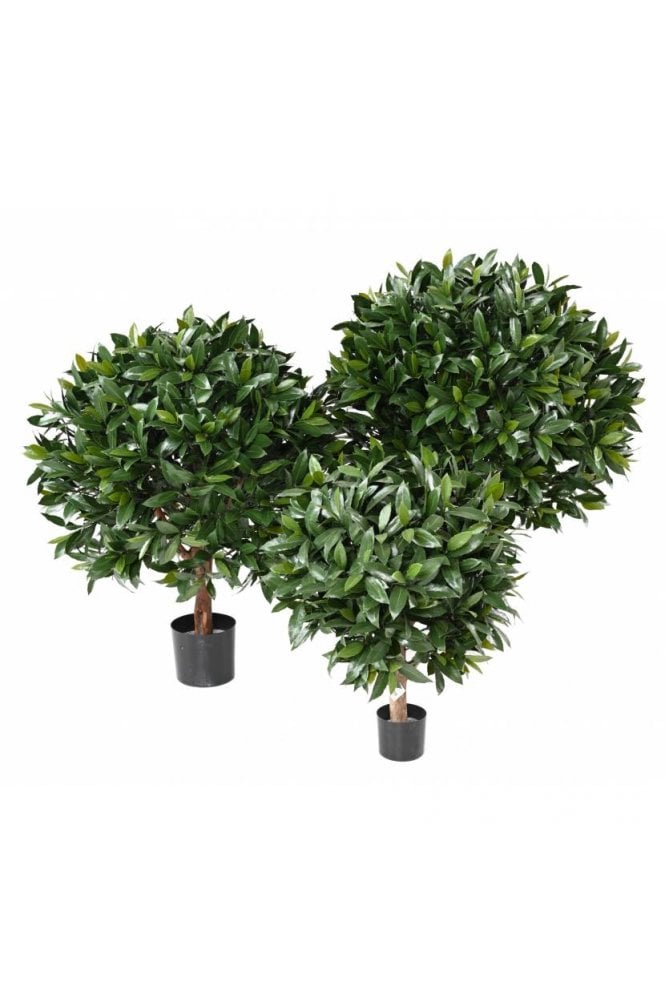 The Artificial Plants Shop Artificial UV Protected Bay Laurel Bushes