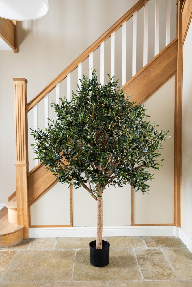 The Artificial Plants Shop Artificial Wide Head Olive Tree (170cm & 210cm)