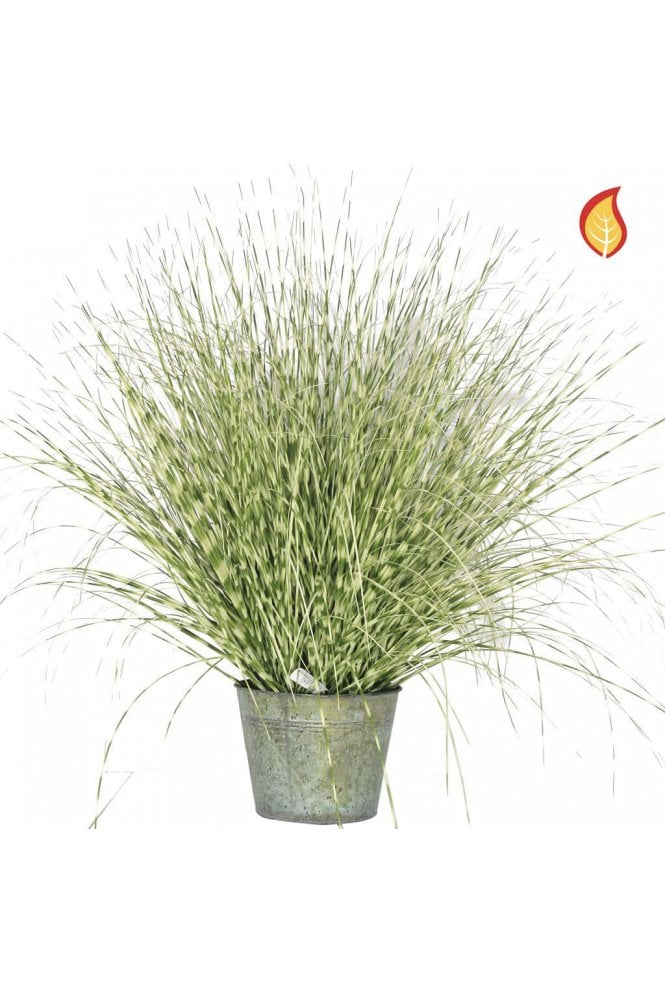 The Artificial Plants Shop Artificial Zebra Grass 114cm in Metal Base (IFR)