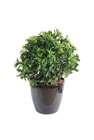 Exterior Grade Bay Laurel Ball