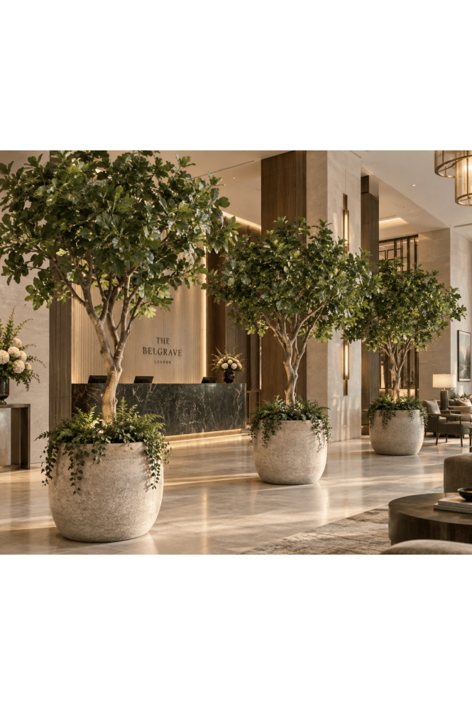 The Artificial Plants Shop Full Size Artificial Fig Tree 2.6m