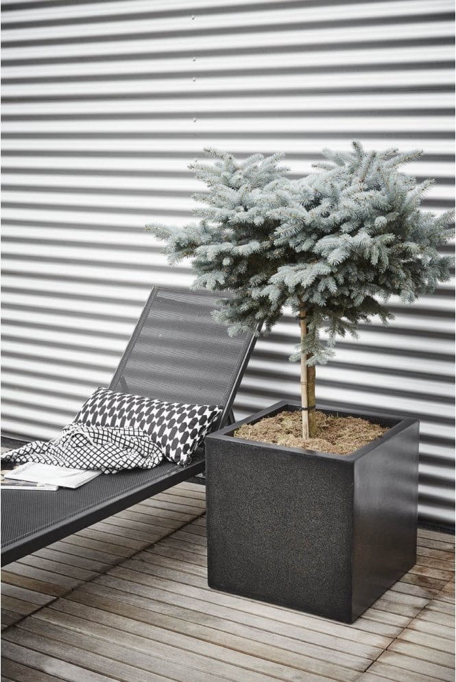 The Artificial Plants Shop Gradelight Cubes