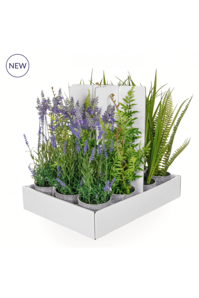 The Artificial Plants Shop Potted Artificial Plants - Set of 12