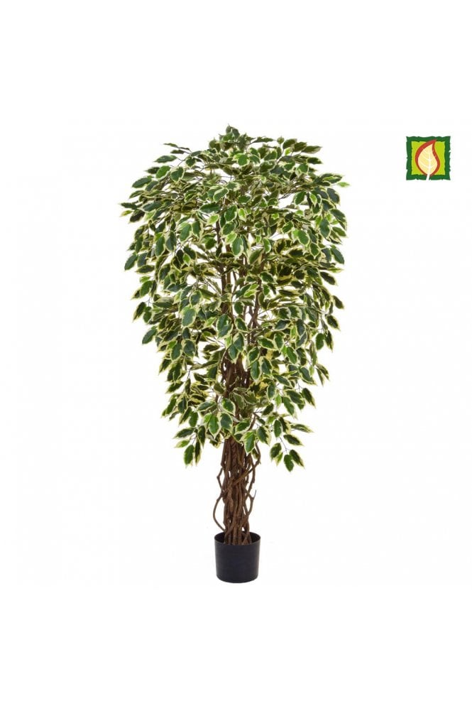 Artificial Ficus Tree Flame Resistant Variegated (IFR)