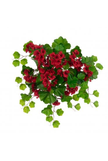 UV Red Geranium Bush - Eco Range