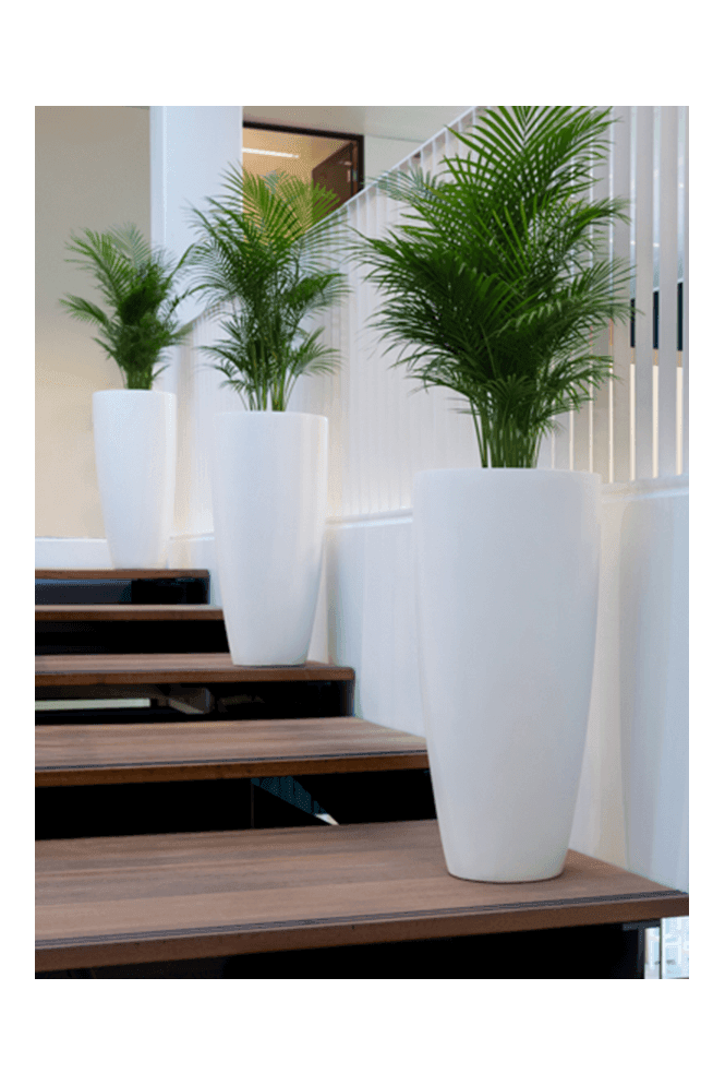 White Tall Matt Finish Planter 80cm X 37cm